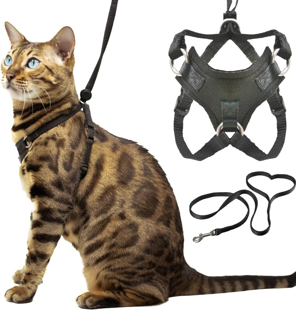 Houdiniā¢ Escape Resistant Cat Harness and Leash Set by OutdoorBengal for Walking Cats (M)