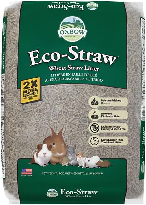 Best Litter for Rabbits: Top Picks for Your Furry Friends