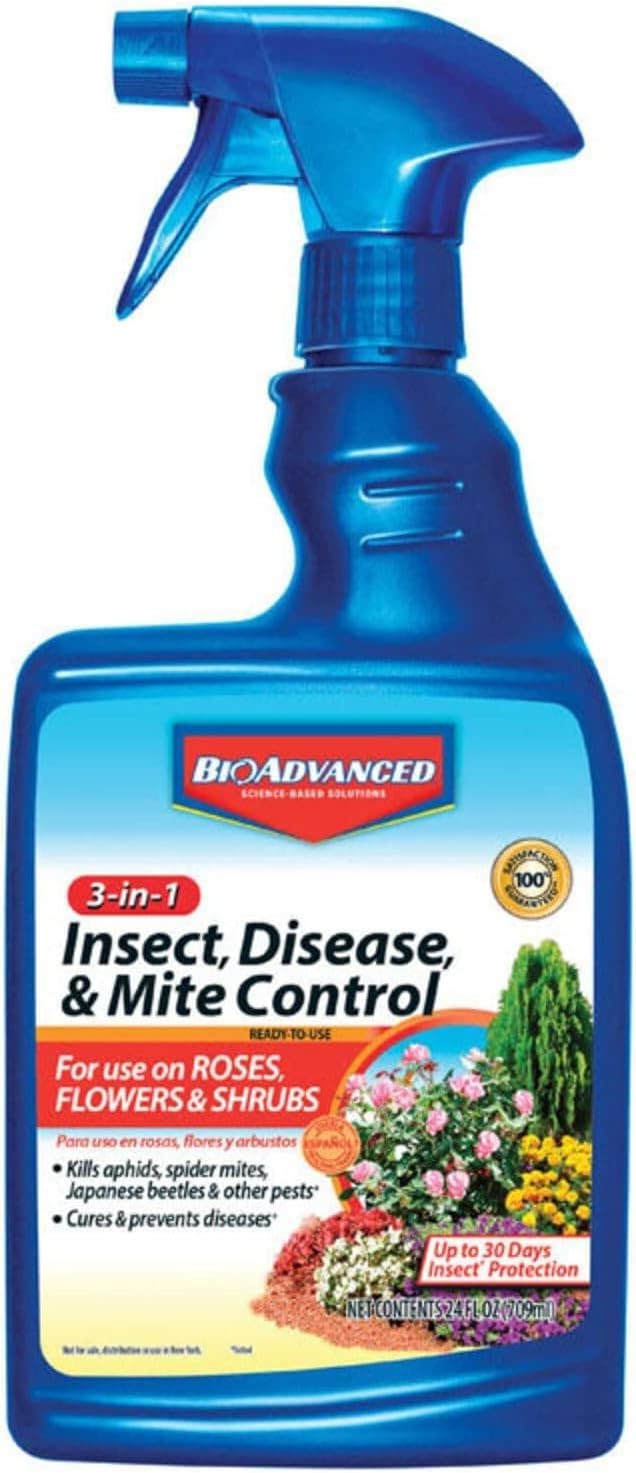 Best Insecticide for Aphids: Top Solutions for Your Garden