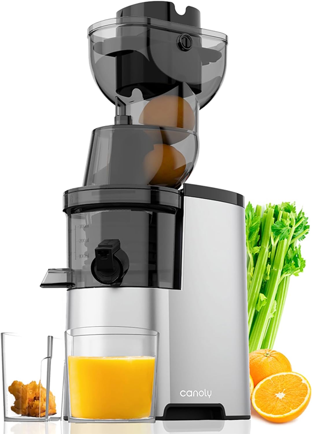 Best Juicer 2024: Top Picks for Fresh and Nutritious Juices