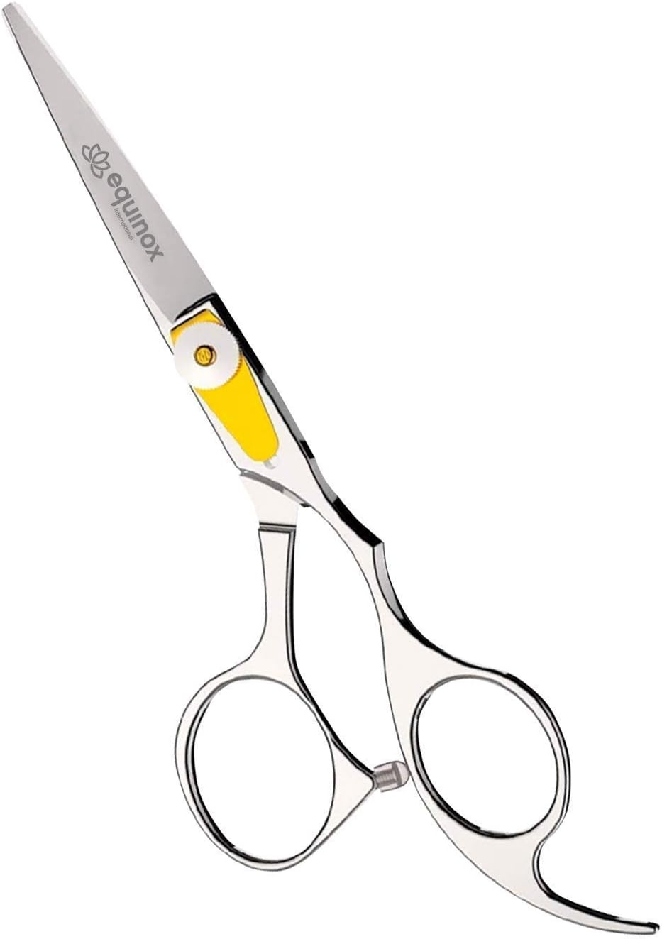 Best Shears for Hair Cutting: Top Picks for Precision and Comfort