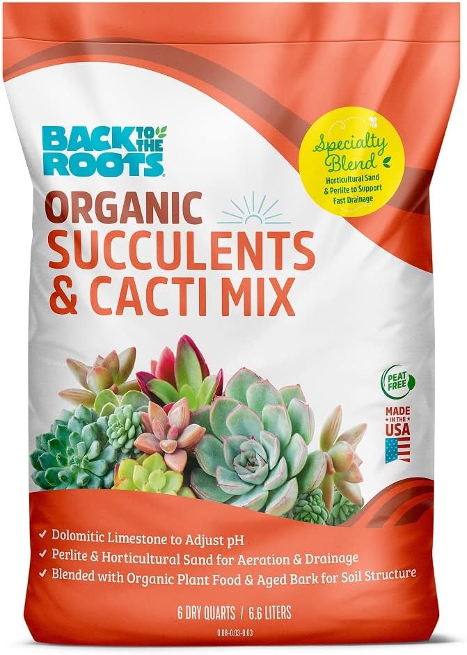 Best Soil for Cacti: Top Picks for Thriving Succulents