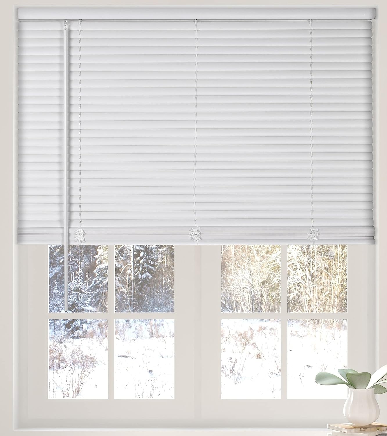 Best Interior Blind Options for Stylish Homes