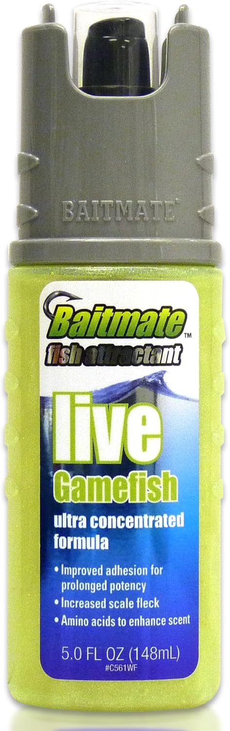 Best Bait for Clean Waters: Top Picks for Effective Fishing