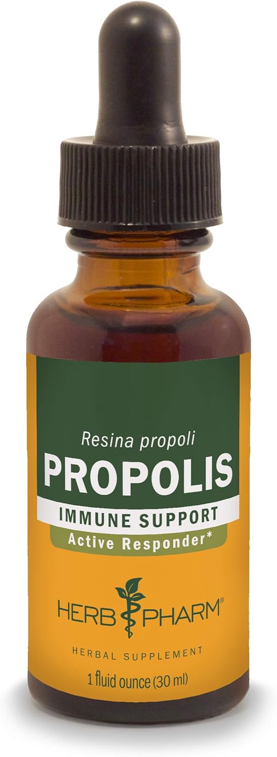 Best Propolis Tincture: Top Picks for Immune System Support