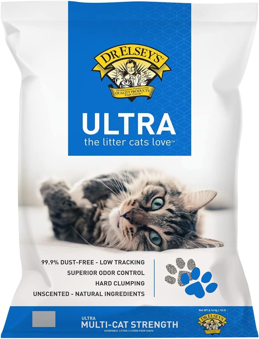 Best Litter for Cats: Top Picks for Your Feline Friend