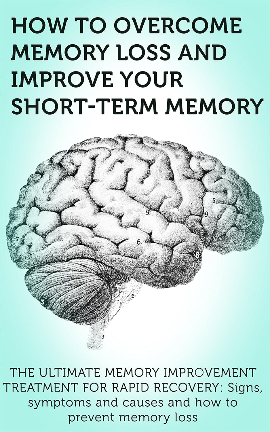 Best Treatment for Improving Memory: Boost Your Brain Power Today